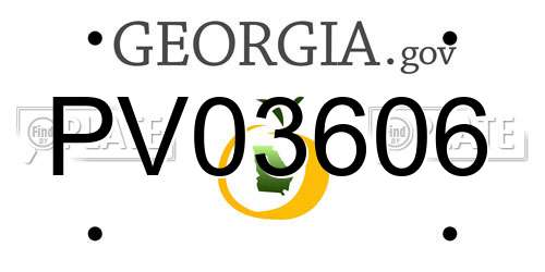 PV03606 Georgia License Plate