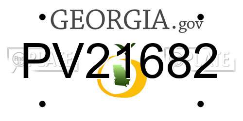 PV21682 Georgia License Plate
