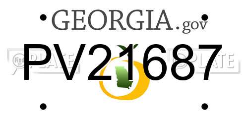 PV21687 Georgia License Plate