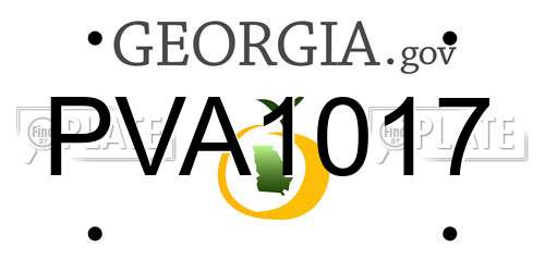 PVA1017 Georgia License Plate