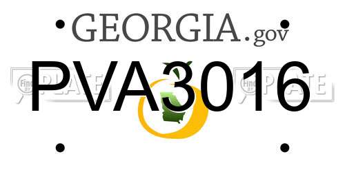 PVA3016 Georgia License Plate