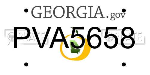 PVA5658 Georgia License Plate