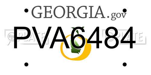 PVA6484 Georgia License Plate