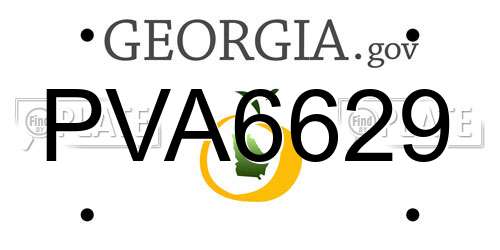 PVA6629 Georgia License Plate