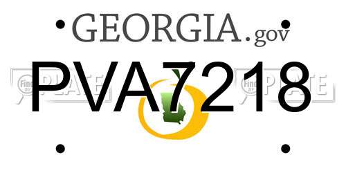 PVA7218 Georgia License Plate