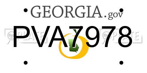 PVA7978 Georgia License Plate