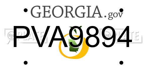 PVA9894 Georgia License Plate