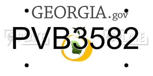 PVB3582 Georgia License Plate