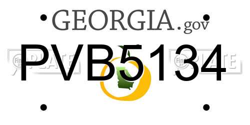 PVB5134 Georgia License Plate