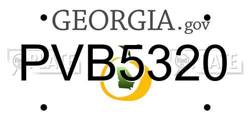 PVB5320 Georgia License Plate