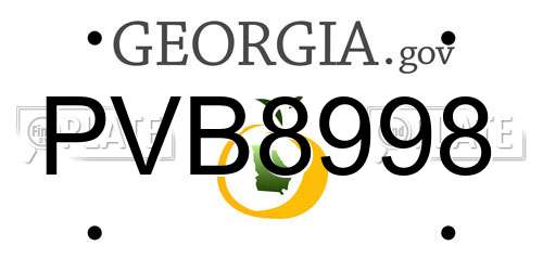 PVB8998 Georgia License Plate