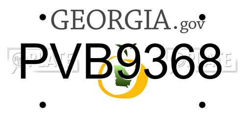 PVB9368 Georgia License Plate