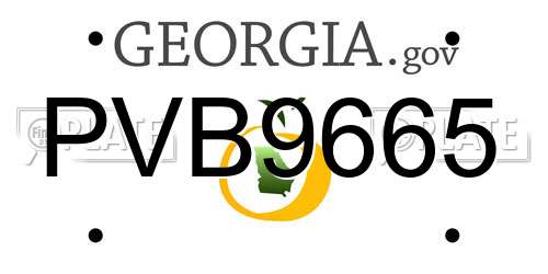 PVB9665 Georgia License Plate