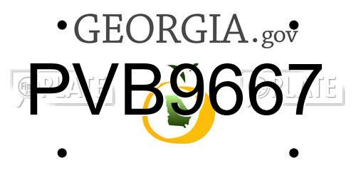 PVB9667 Georgia License Plate