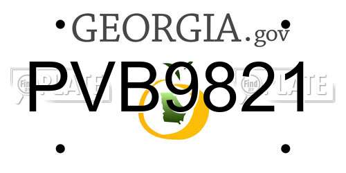 PVB9821 Georgia License Plate