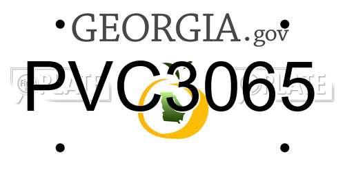 PVC3065 Georgia License Plate