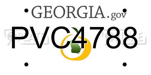 PVC4788 Georgia License Plate
