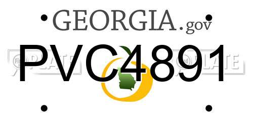 PVC4891 Georgia License Plate