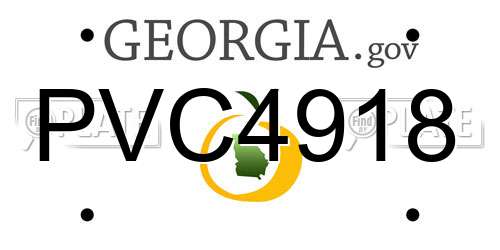 PVC4918 Georgia License Plate