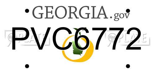 PVC6772 Georgia License Plate