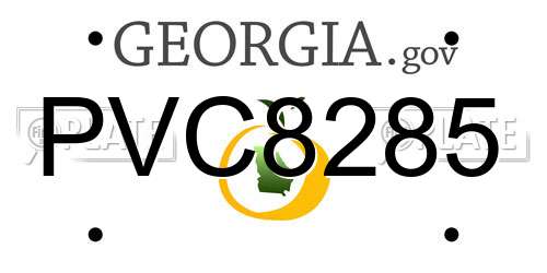 PVC8285 Georgia License Plate