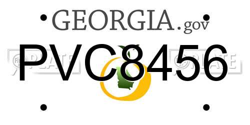 PVC8456 Georgia License Plate