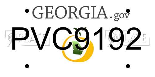 PVC9192 Georgia License Plate