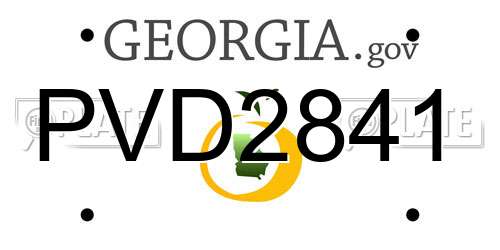 PVD2841 Georgia License Plate