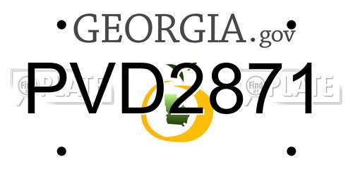 PVD2871 Georgia License Plate
