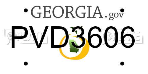 PVD3606 Georgia License Plate