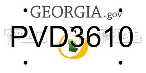 PVD3610 Georgia License Plate