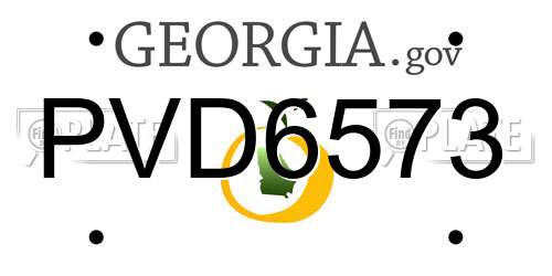 PVD6573 Georgia License Plate