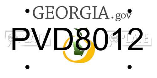 PVD8012 Georgia License Plate