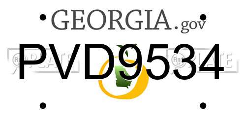 PVD9534 Georgia License Plate