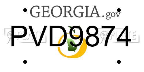 PVD9874 Georgia License Plate