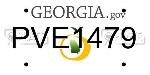 PVE1479 Georgia License Plate