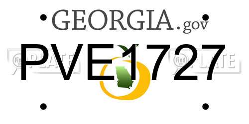 PVE1727 Georgia License Plate