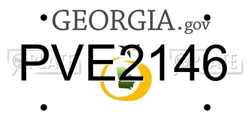 PVE2146 Georgia License Plate
