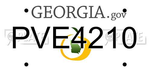 PVE4210 Georgia License Plate