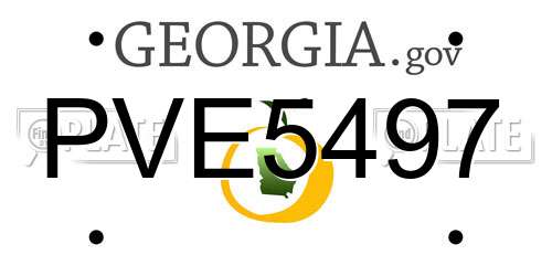 PVE5497 Georgia License Plate