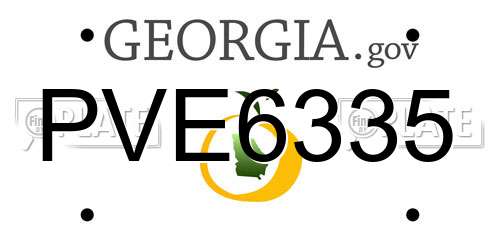 PVE6335 Georgia License Plate