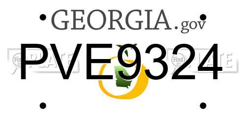 PVE9324 Georgia License Plate
