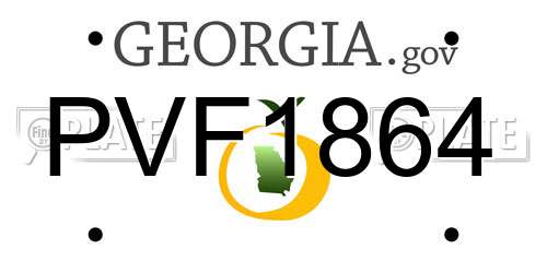 PVF1864 Georgia License Plate