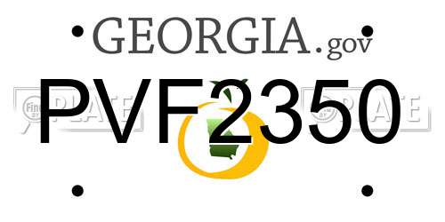 PVF2350 Georgia License Plate