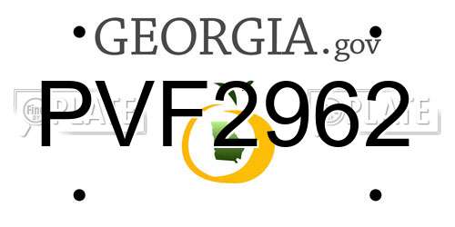 PVF2962 Georgia License Plate