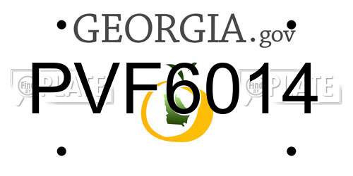 PVF6014 Georgia License Plate