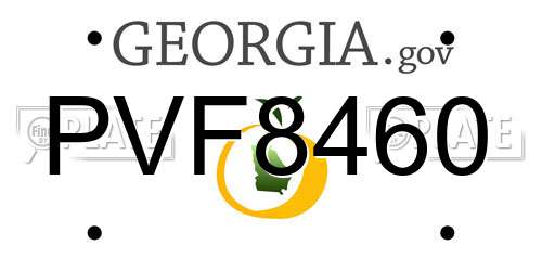 PVF8460 Georgia License Plate