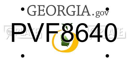 PVF8640 Georgia License Plate