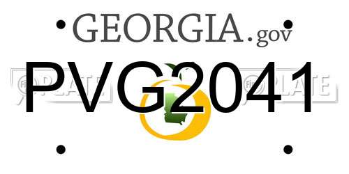 PVG2041 Georgia License Plate