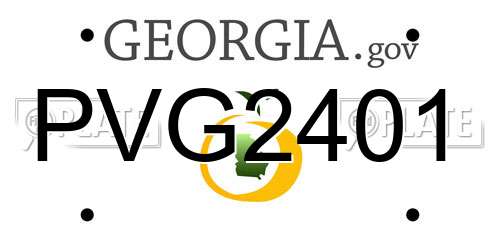 PVG2401 Georgia License Plate